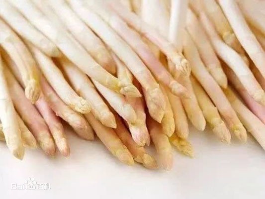 曹县芦笋
