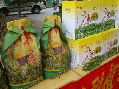 辉渠望海山小米