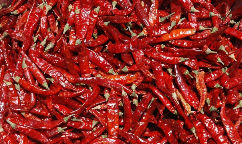 兖州干辣椒