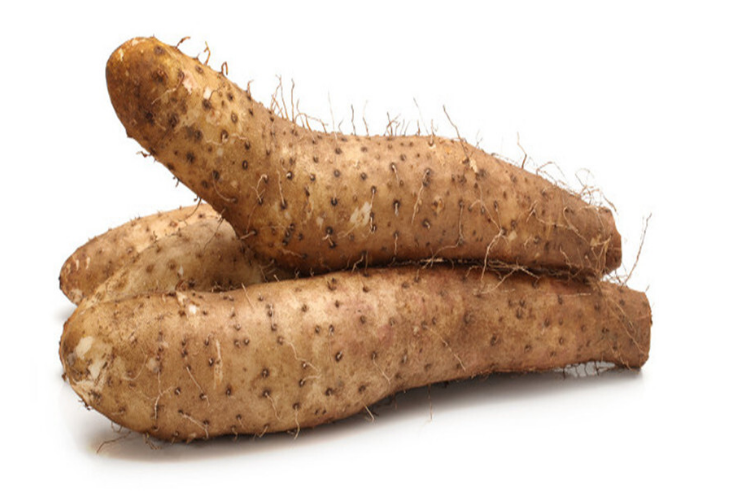 兖州黄牛腿山药