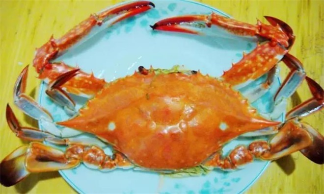 沾化三疣梭子蟹